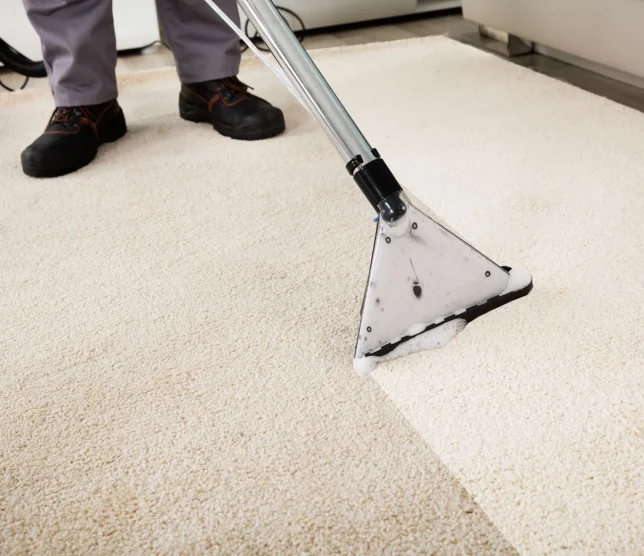 Carpet+cleaning+process+-+Carpet+washing+-+Cleaning+service+-+Carpet+cleaner+and+vacuum+and+carpet+-+Indoor+space-+likely+a+home+or+office+-+Beige+and+Gray-1920w
