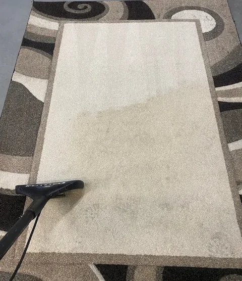 area rug cleaning