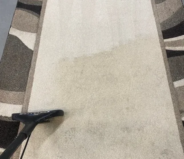 area rug cleaning