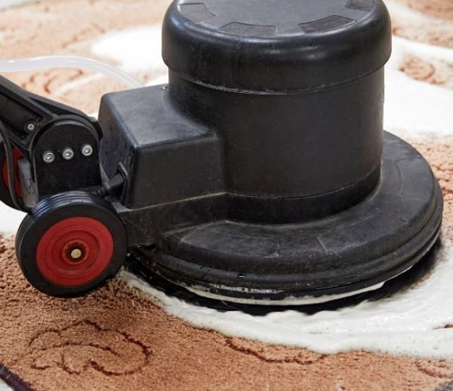professional-rug-cleaning-in-westford-ma-b1b64f8a